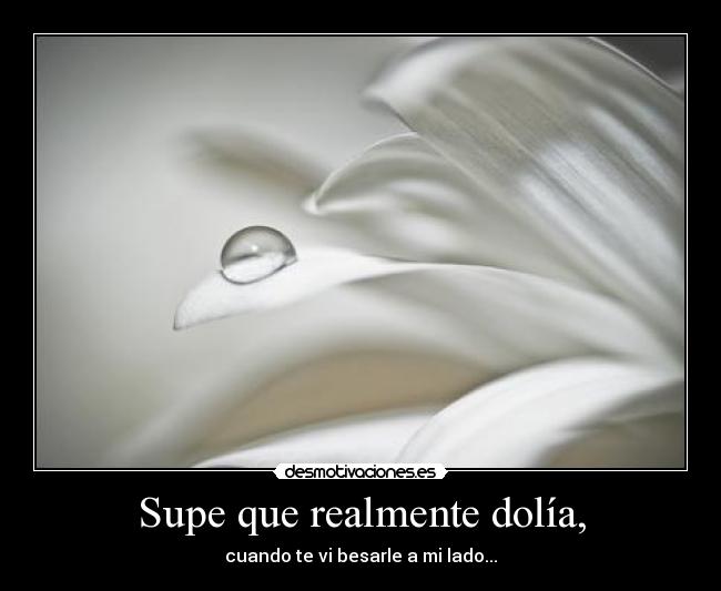 carteles leamo desmotivaciones