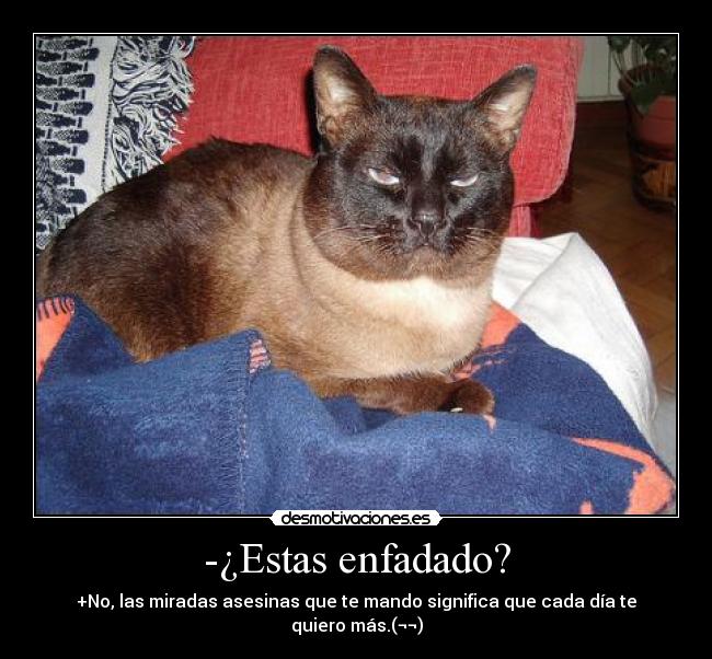 -¿Estas enfadado? -