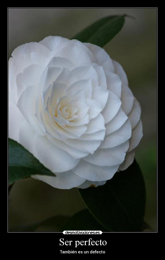 Ser perfecto -