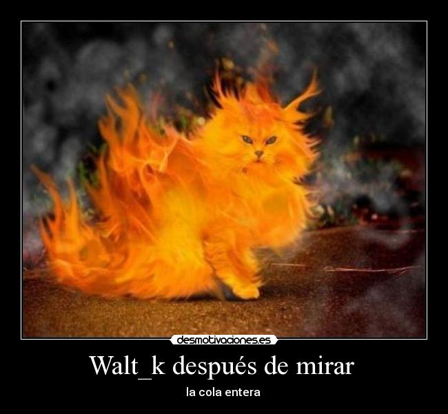 Walt_k después de mirar -