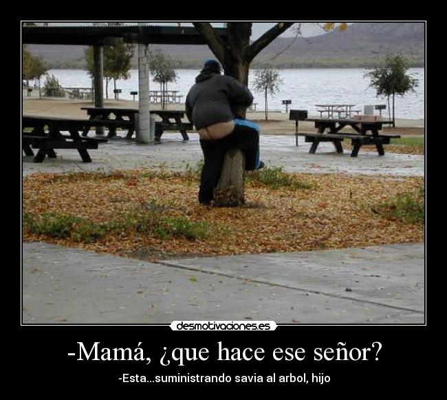 -Mamá, ¿que hace ese señor? - -Esta...suministrando savia al arbol, hijo