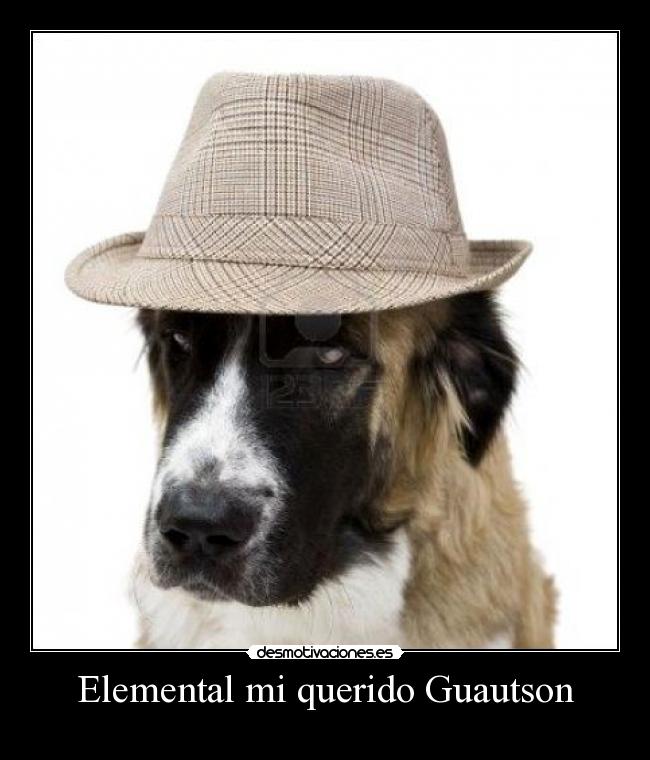 Elemental mi querido Guautson -