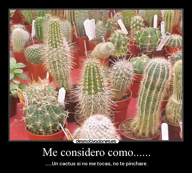 carteles cactus desmotivaciones