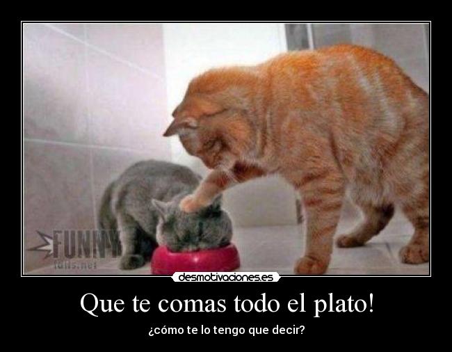 Que te comas todo el plato! - 
