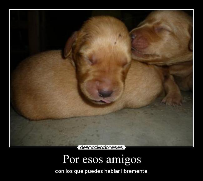 Por esos amigos -