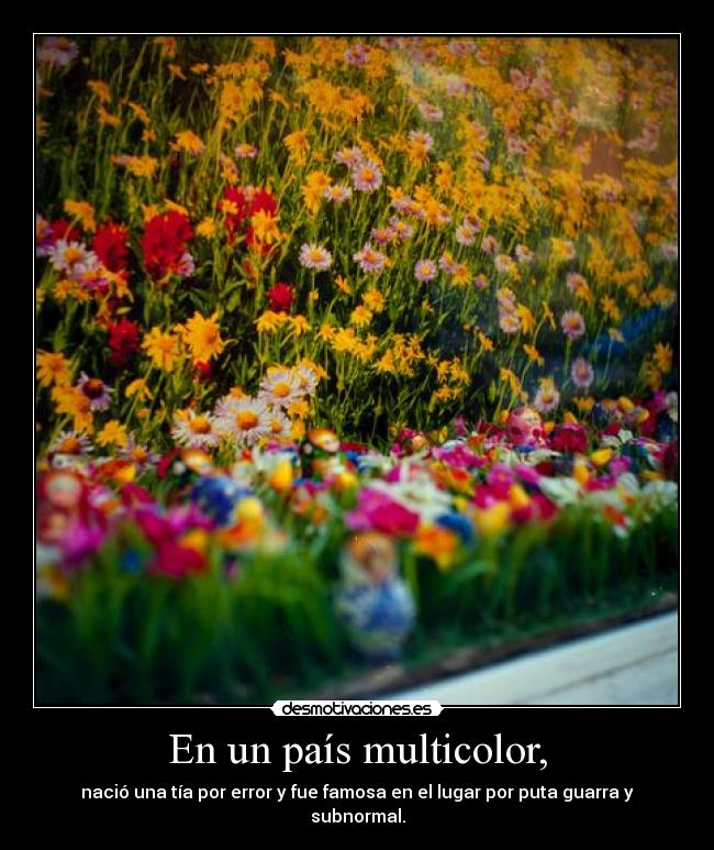 En un país multicolor, - nació una tía por error y fue famosa en el lugar por puta guarra y subnormal.