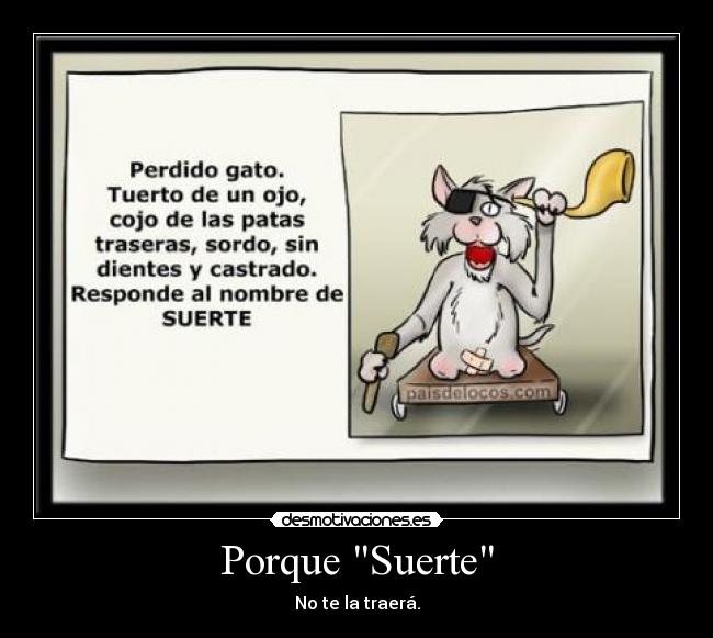 carteles suerte gatostraer desmotivaciones