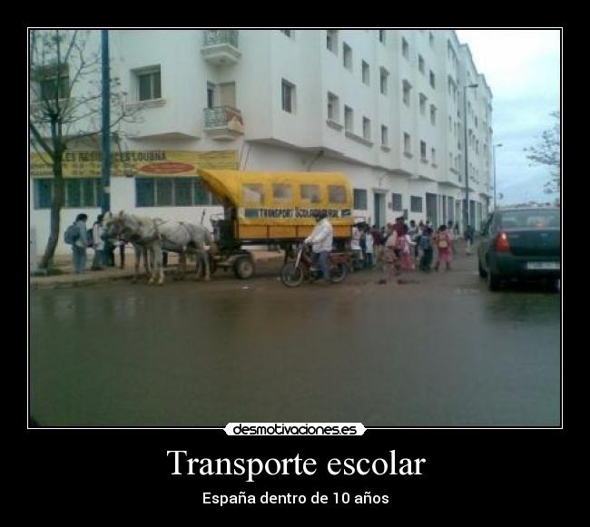 Transporte escolar - 