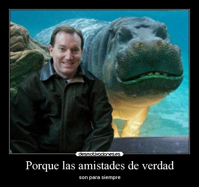 Porque las amistades de verdad - 
