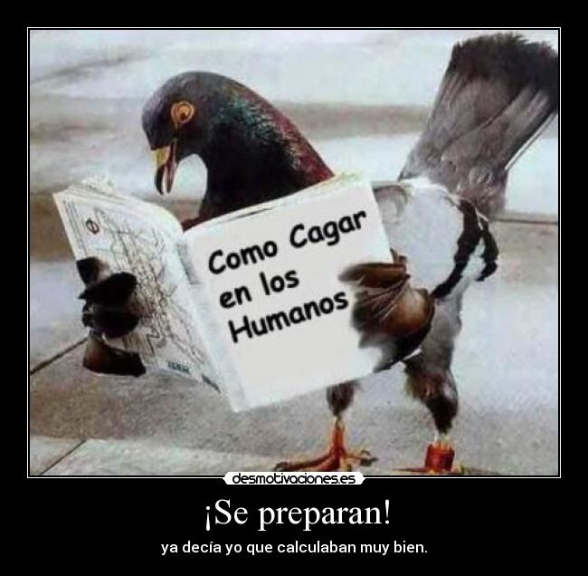 ¡Se preparan! - ya decía yo que calculaban muy bien.