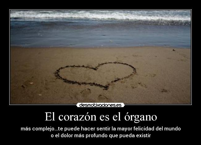 El corazón es el órgano -