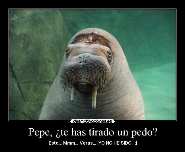 Pepe, ¿te has tirado un pedo? - Esto… Mmm… Veras… ¡YO NO HE SIDO!  :|