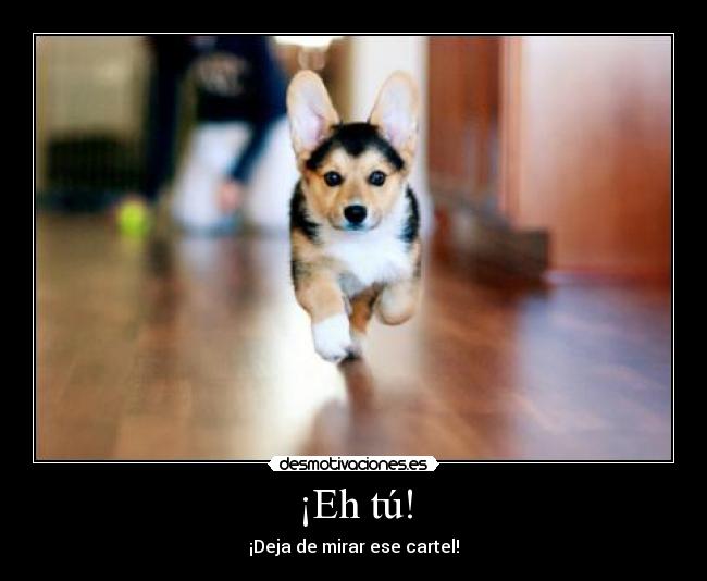 ¡Eh tú! - ¡Deja de mirar ese cartel!