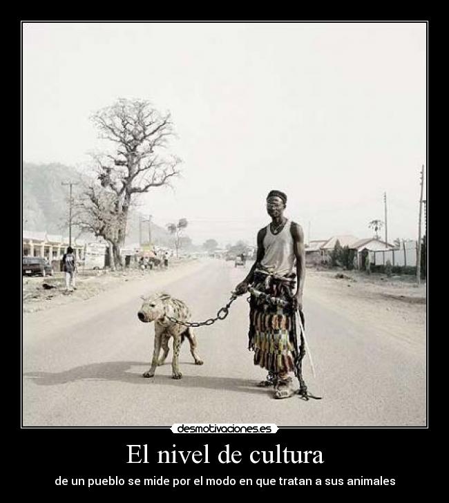 El nivel de cultura - de un pueblo se mide por el modo en que tratan a sus animales