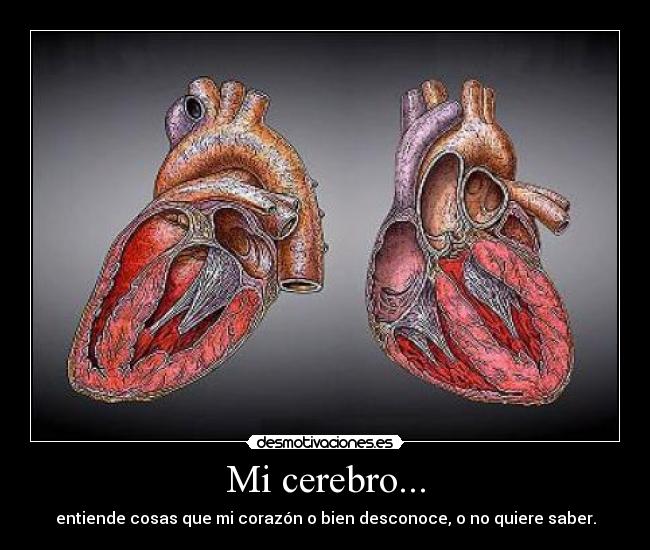 Mi cerebro... - entiende cosas que mi corazón o bien desconoce, o no quiere saber.
