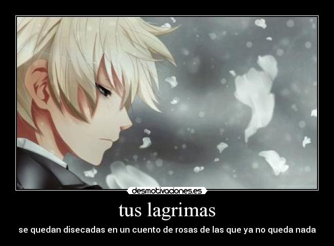 tus lagrimas -
