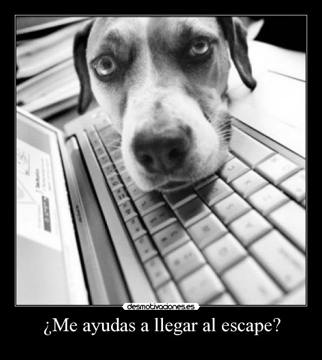 ¿Me ayudas a llegar al escape? - 