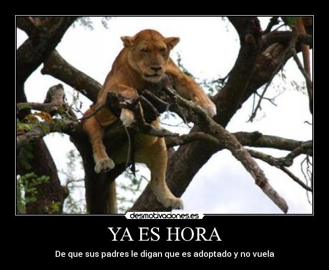 YA ES HORA - De que sus padres le digan que es adoptado y no vuela