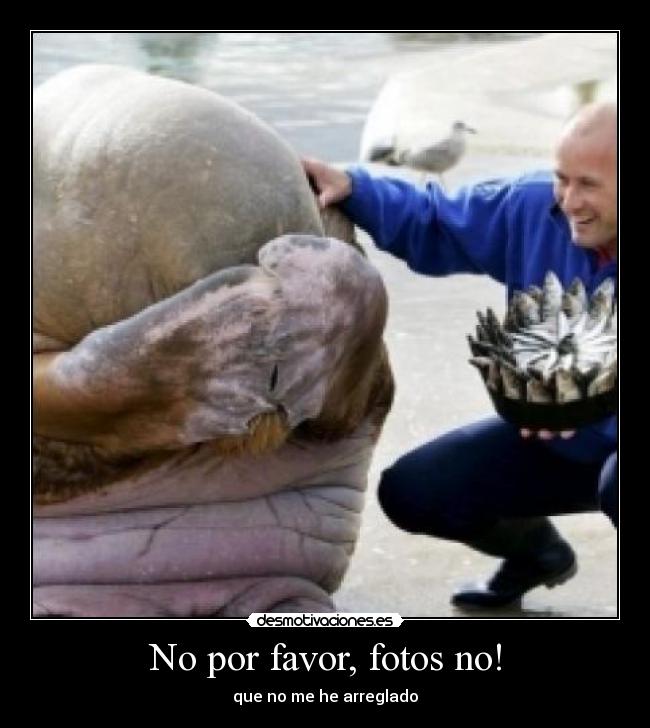 No por favor, fotos no! - 