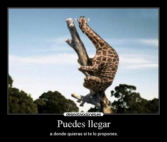 Puedes llegar -