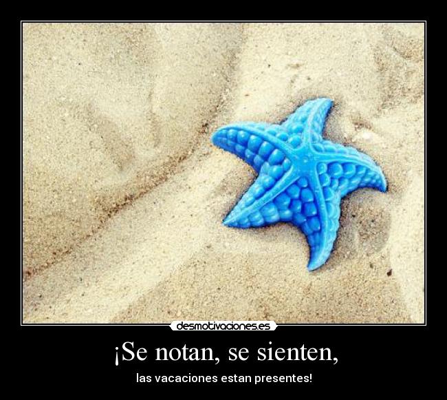 ¡Se notan, se sienten, -