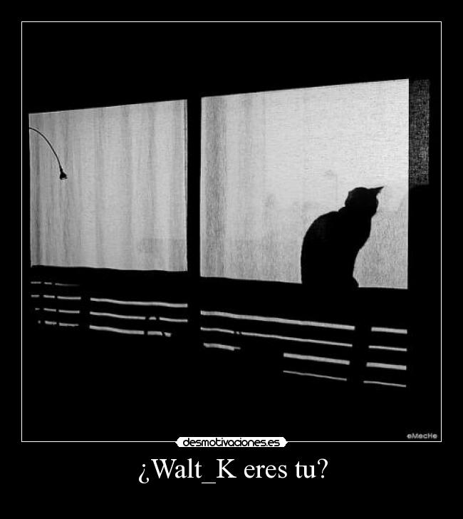 ¿Walt_K eres tu? - 