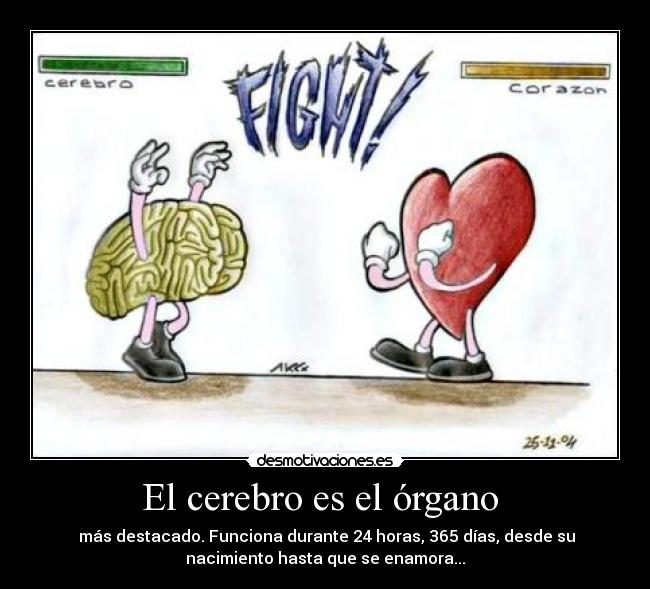 El cerebro es el órgano - más destacado. Funciona durante 24 horas, 365 días, desde su
nacimiento hasta que se enamora...