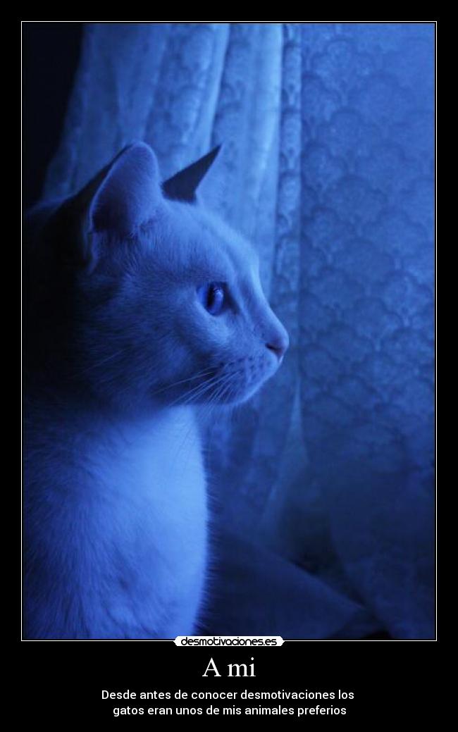 A mi - Desde antes de conocer desmotivaciones los 
gatos eran unos de mis animales preferios