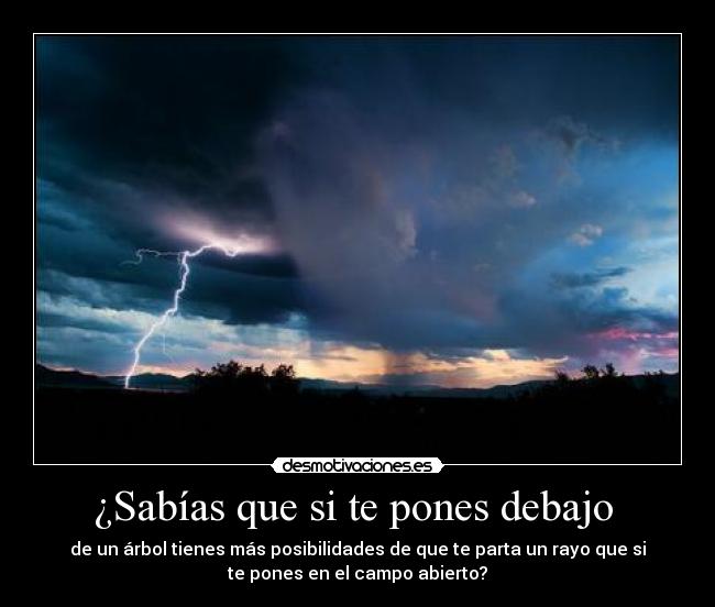 ¿Sabías que si te pones debajo - de un árbol tienes más posibilidades de que te parta un rayo que si
te pones en el campo abierto?
