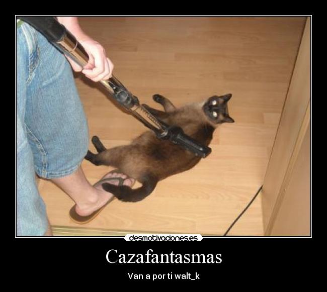 Cazafantasmas - Van a por ti walt_k