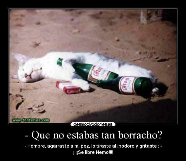 - Que no estabas tan borracho? -