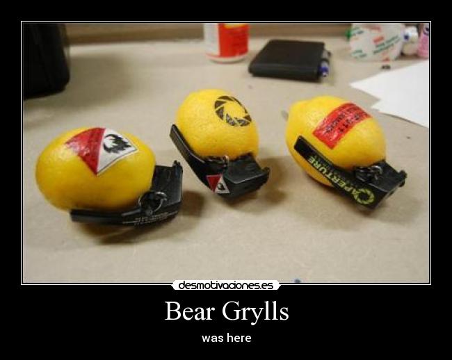 Bear Grylls - 