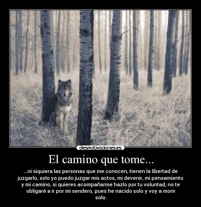 El camino que tome... - 