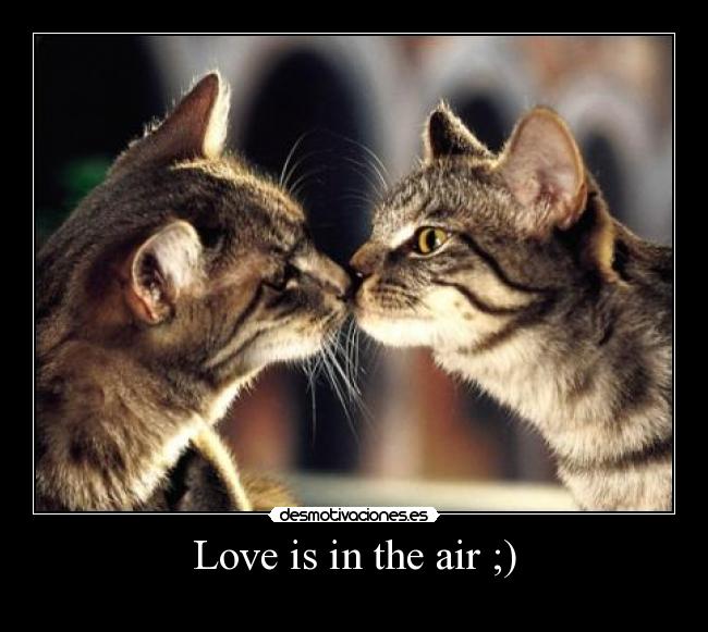 Love is in the air ;) - 