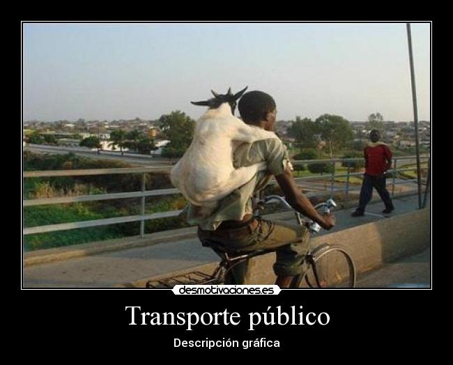 Transporte público -