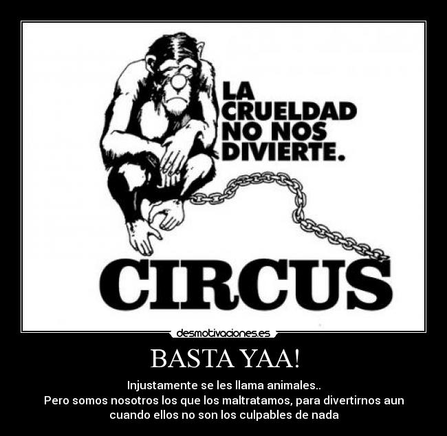 BASTA YAA! - Injustamente se les llama animales..
Pero somos nosotros los que los maltratamos, para divertirnos aun
cuando ellos no son los culpables de nada