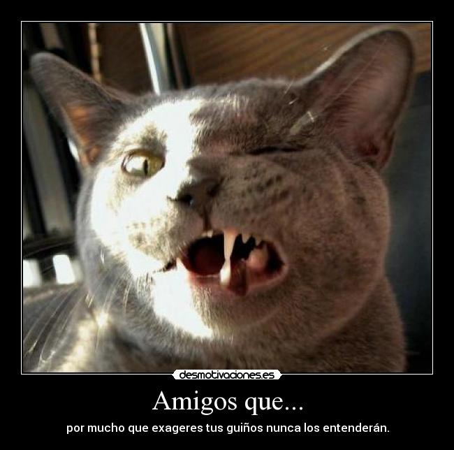 Amigos que... - 