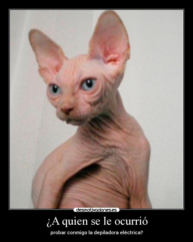 ¿A quien se le ocurrió - probar conmigo la depiladora eléctrica?