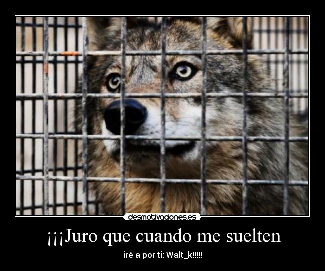 ¡¡¡Juro que cuando me suelten -