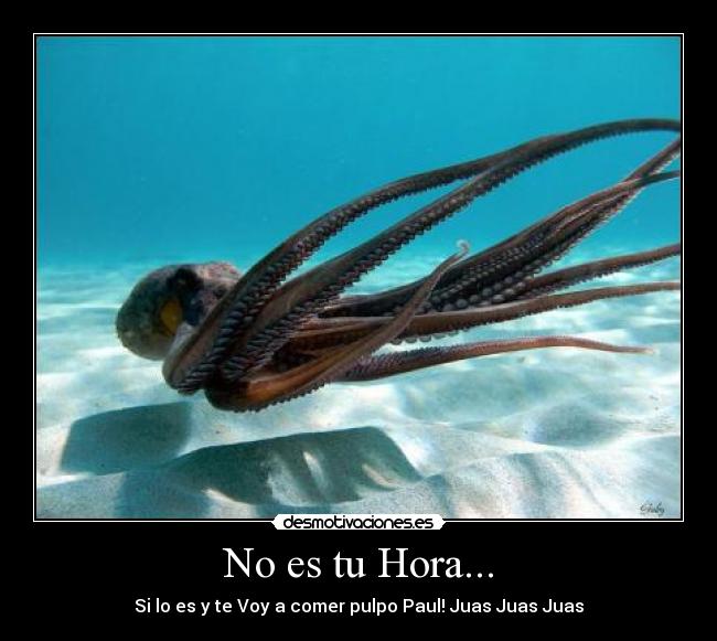 No es tu Hora... -
