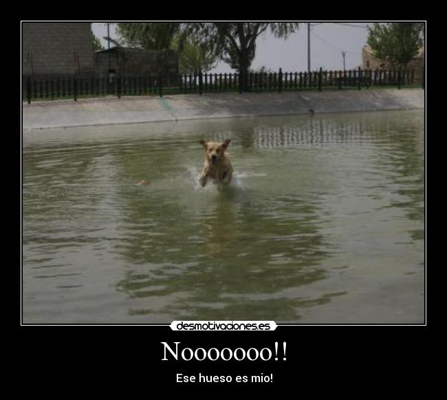 carteles ese hueso mio desmotivaciones