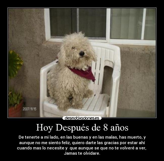 Hoy Después de 8 años - De tenerte a mi lado, en las buenas y en las malas, has muerto, y
aunque no me siento feliz, quiero darte las gracias por estar ahí
cuando mas lo necesite y  que aunque se que no te volveré a ver, 
Jamas te olvidare.