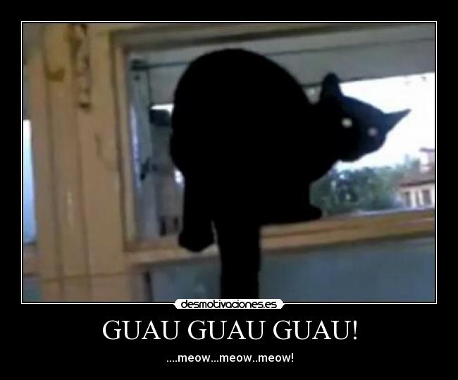 GUAU GUAU GUAU! -