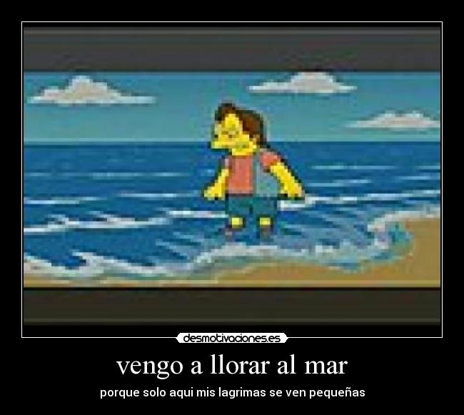 vengo a llorar al mar -