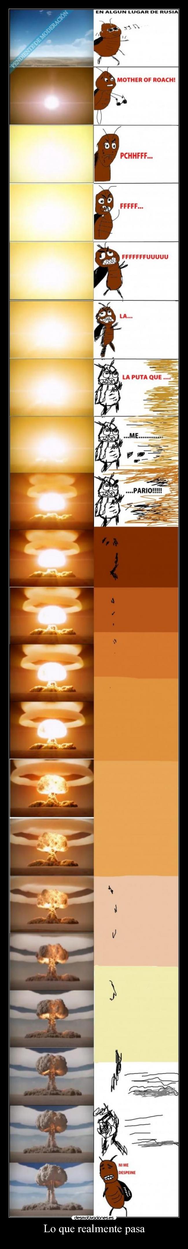 Lo que realmente pasa - 