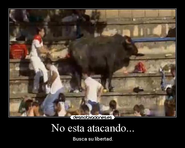 No esta atacando... - Busca su libertad.