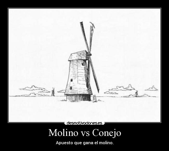 Molino vs Conejo - 