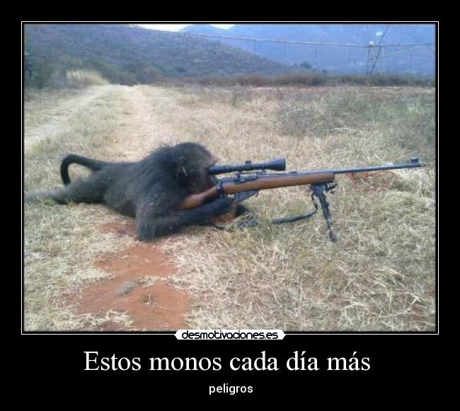 carteles monos desmotivaciones