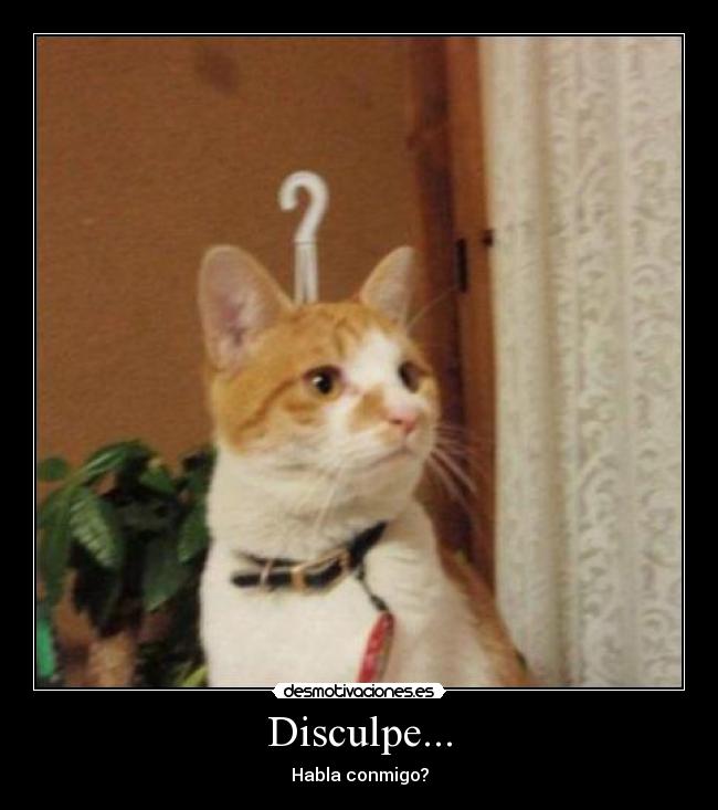Disculpe... - Habla conmigo?