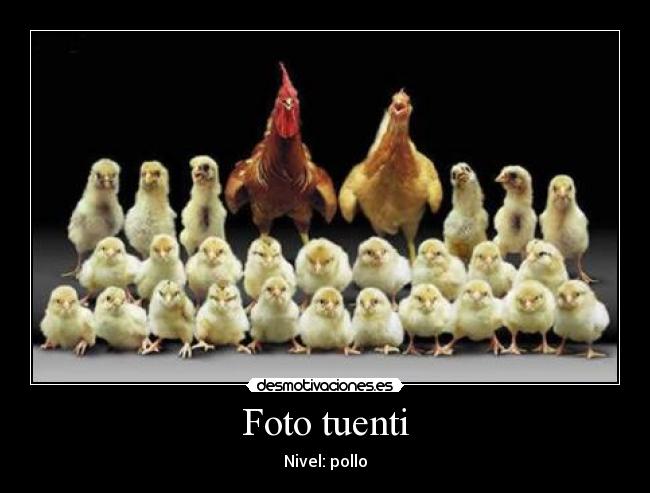 Foto tuenti - Nivel: pollo